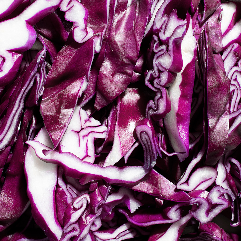 Purple cabbage